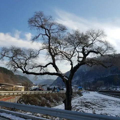 동아리 이미지