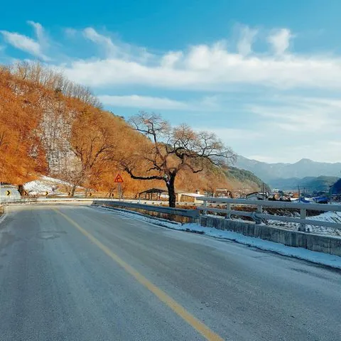 동아리 이미지