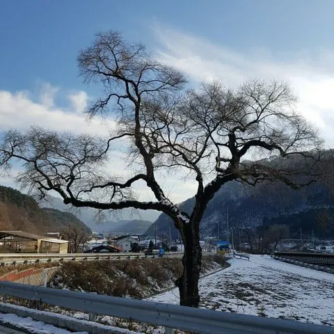 동아리 이미지