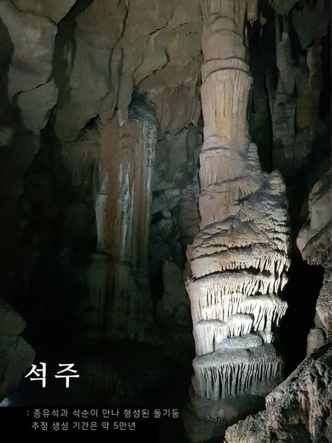 동아리 이미지