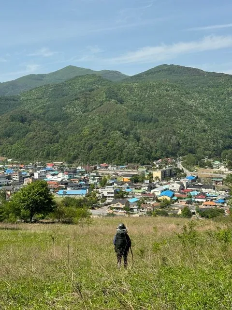 동아리 이미지