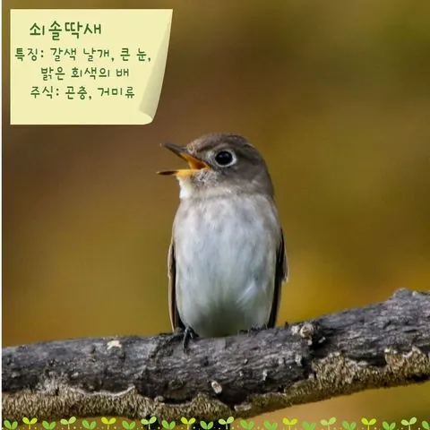 동아리 이미지