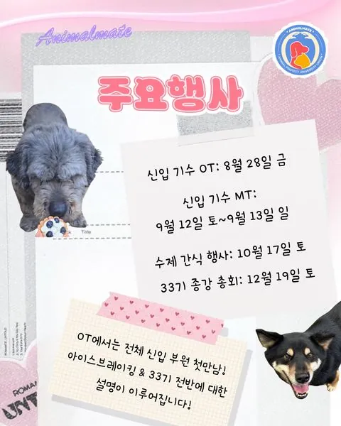 동아리 이미지