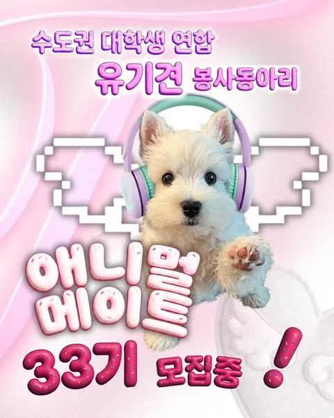 동아리 이미지