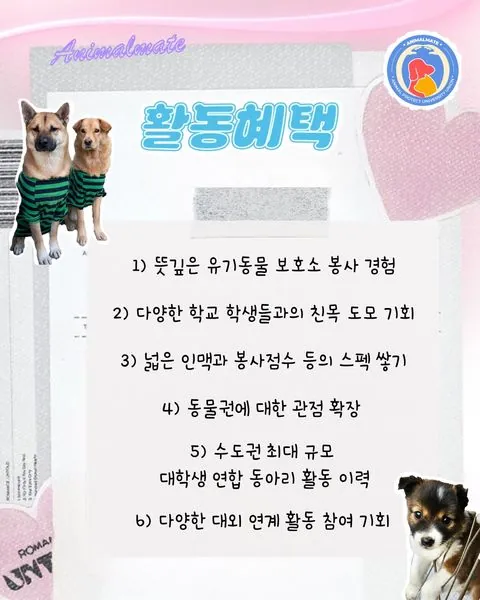 동아리 이미지