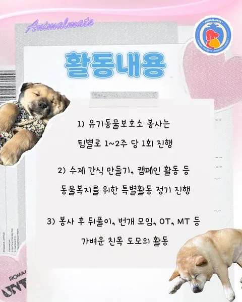 동아리 이미지