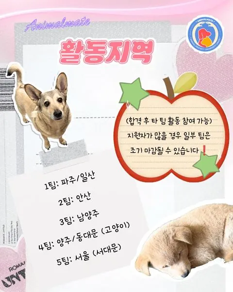 동아리 이미지