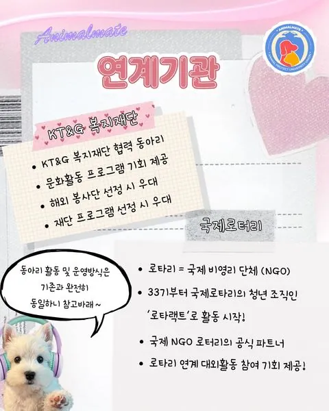 동아리 이미지