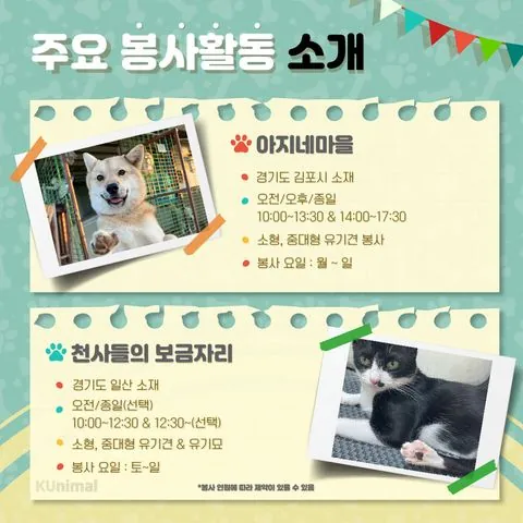 동아리 이미지