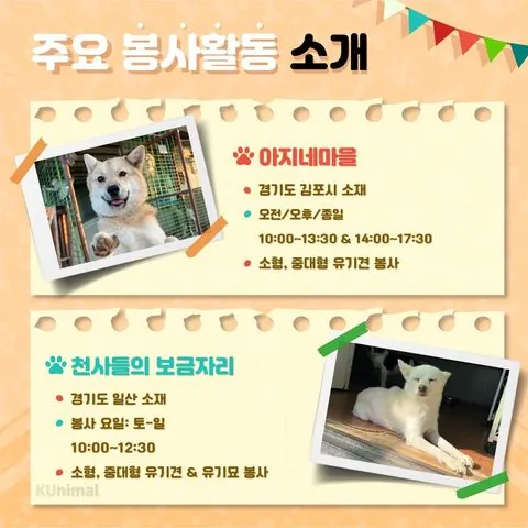 동아리 이미지