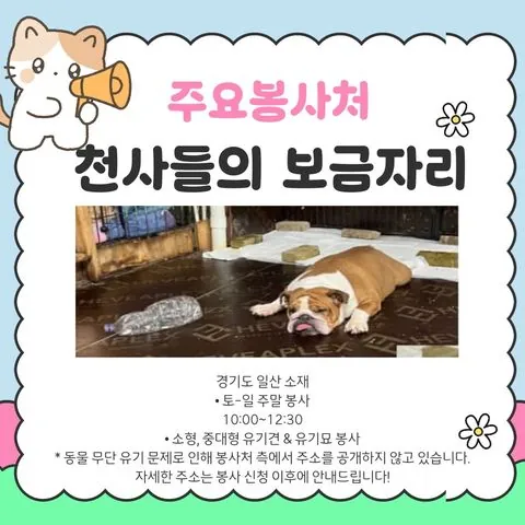 동아리 이미지