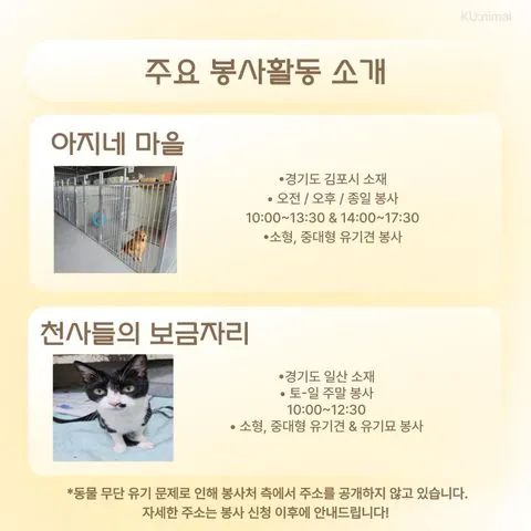 동아리 이미지