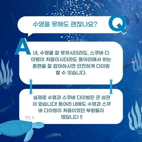 동아리 이미지