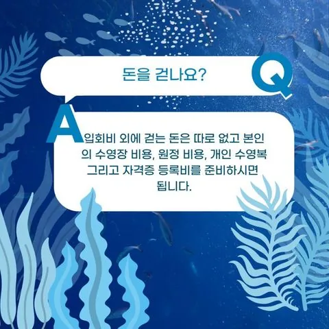 동아리 이미지
