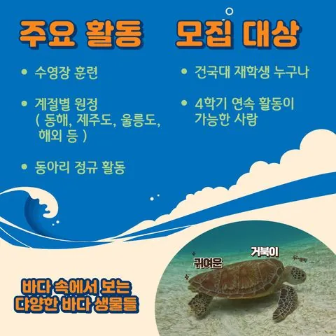 동아리 이미지