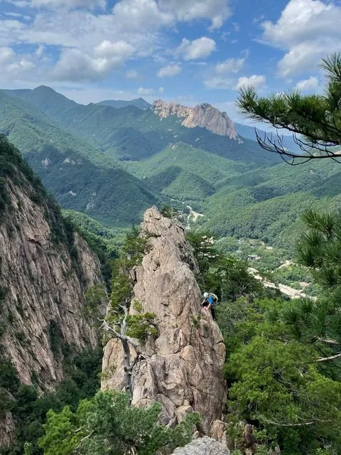 동아리 이미지