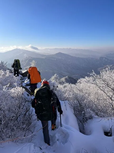 동아리 이미지