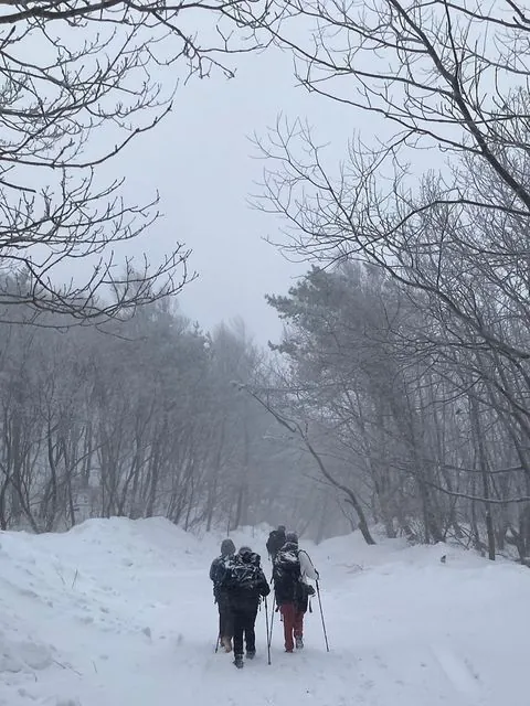 동아리 이미지