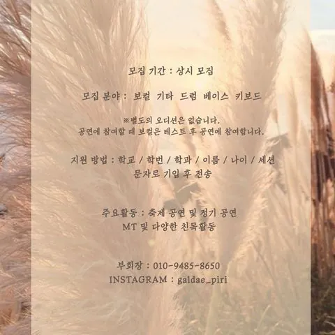 동아리 이미지