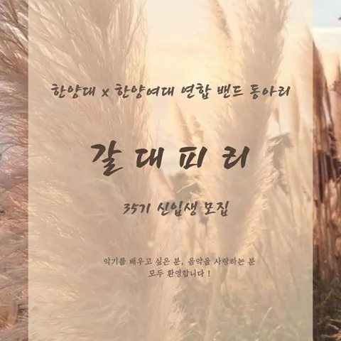 동아리 이미지