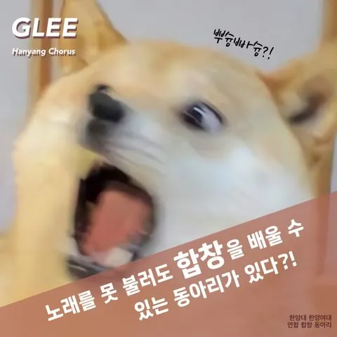 동아리 이미지