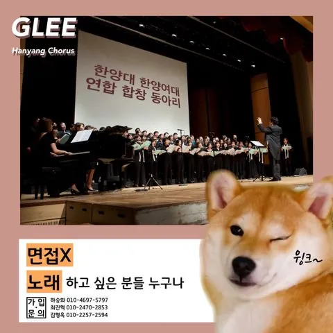 동아리 이미지