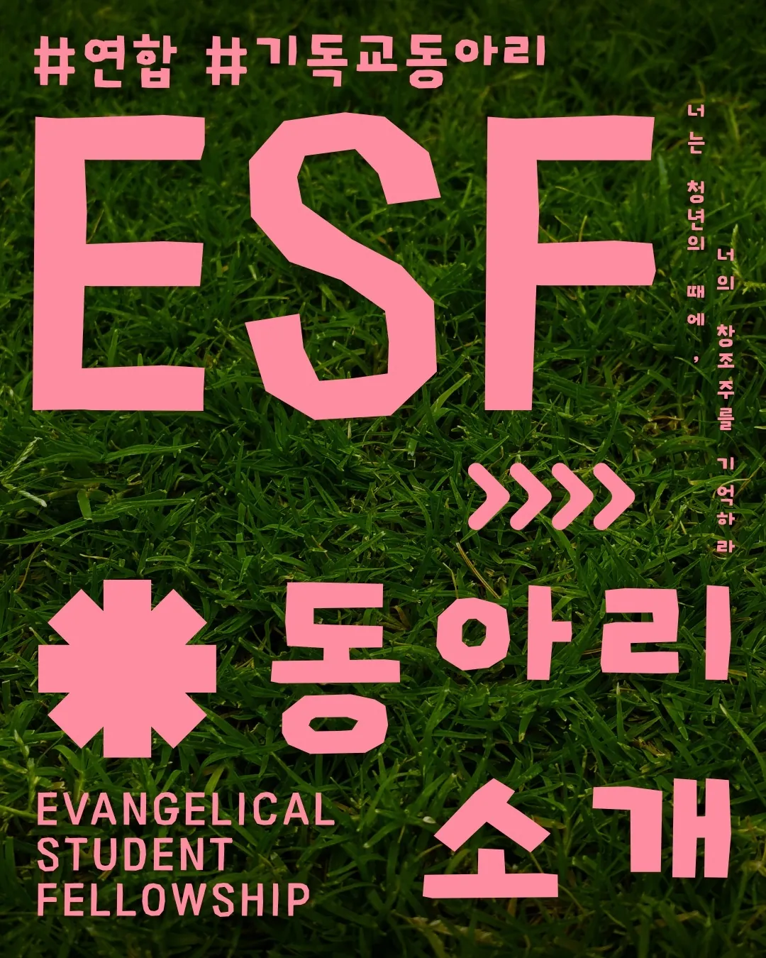 동아리 이미지