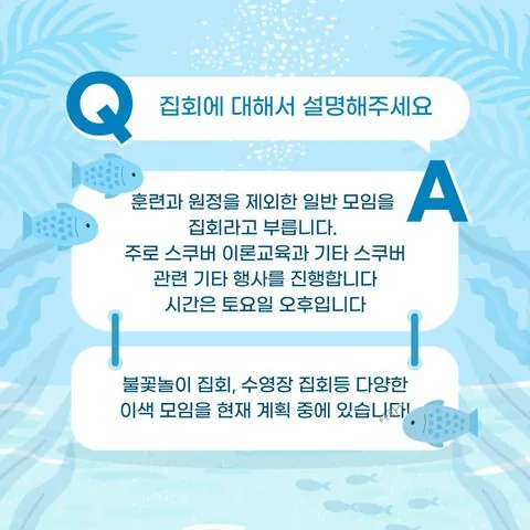 동아리 이미지