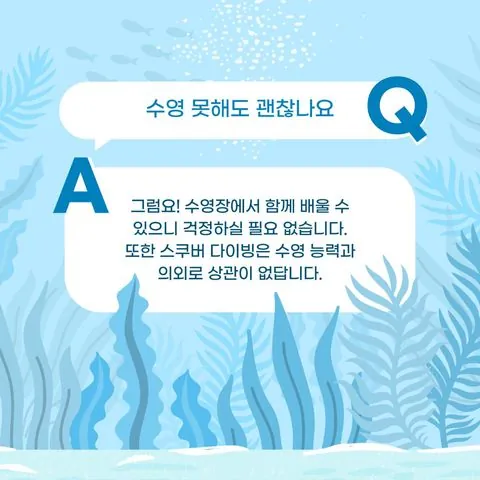 동아리 이미지