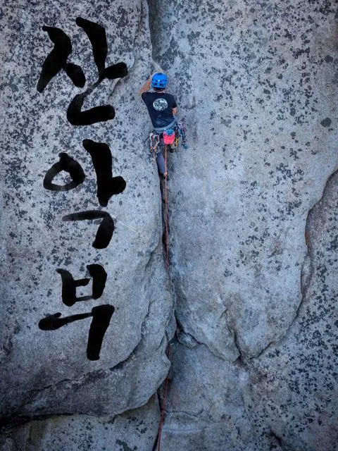 동아리 이미지